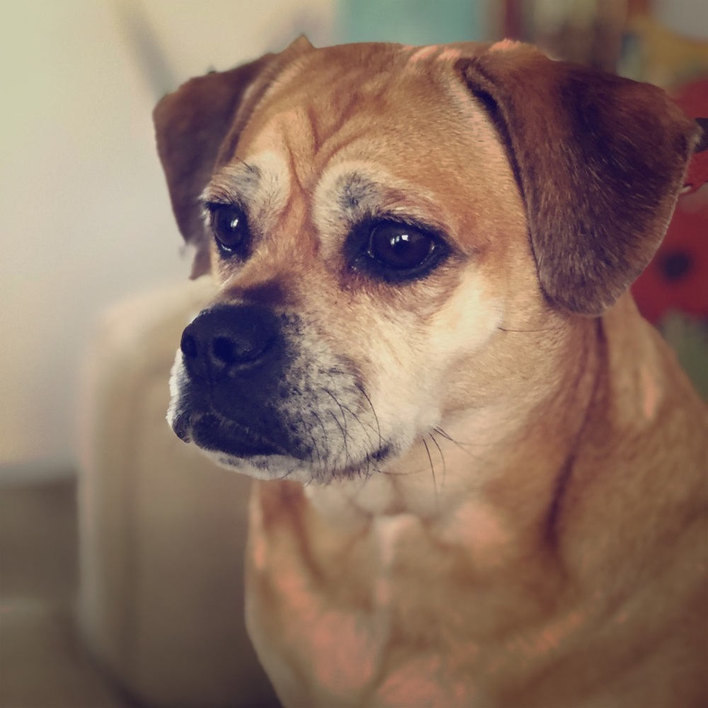 Meet your Posher, Rachel M!